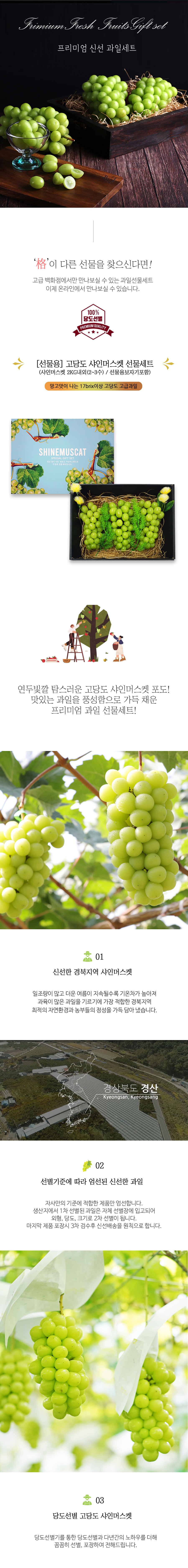 고당도 샤인머스켓 선물세트 2kg 내외(2-3수)