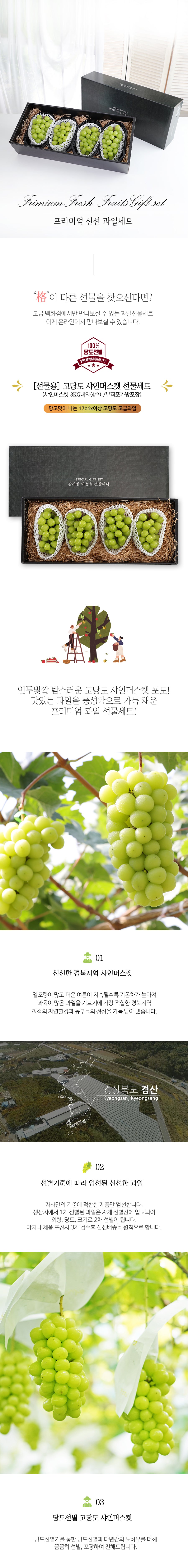 고당도 샤인머스켓 선물세트 3kg 내외(4수)