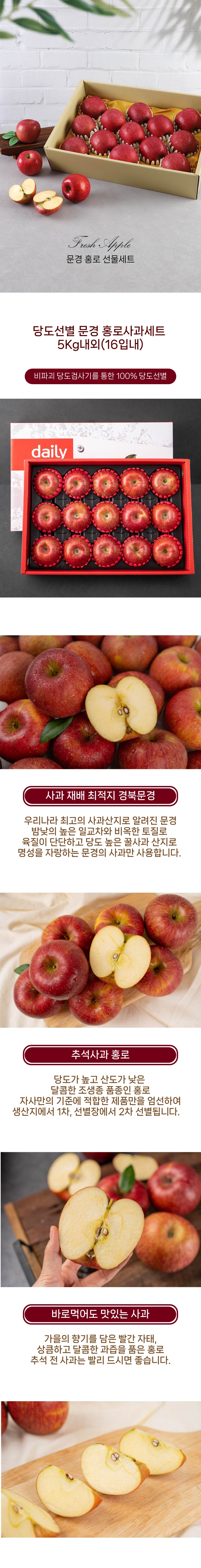 당도선별 문경사과세트 5kg내외(16입내)
