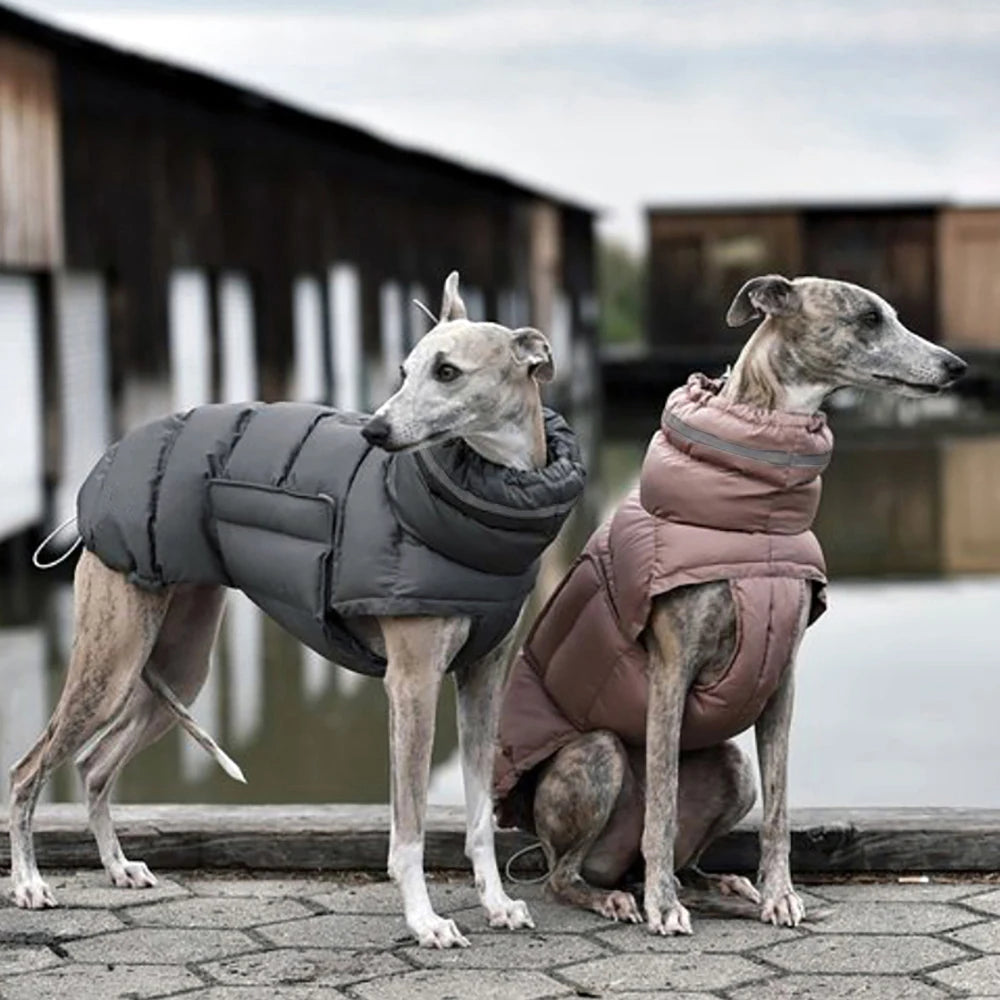 Winter Warm Dog Clothes Windproof Waterproof Down Jacket