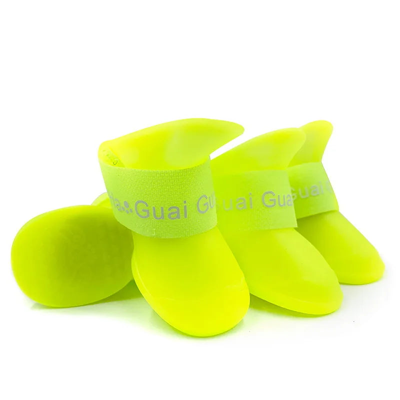 image_1