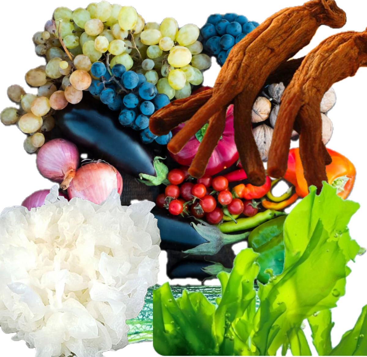 VEGAN SUPPLEMENTS